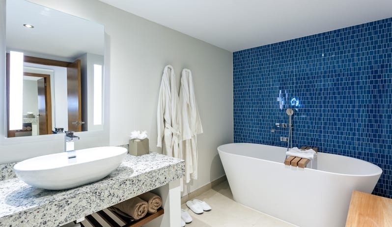 Deluxe One Bedroom Suite